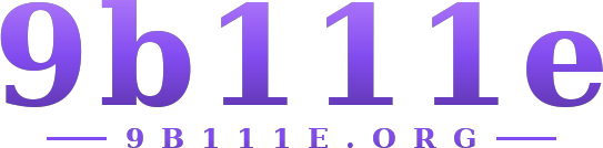 9b111e logo